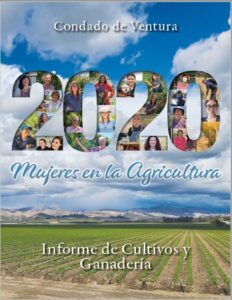 2020 Cover Spanish
