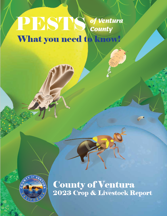 Pests Of Ventura County 2023 Crop and Livestock Report