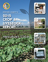 2015 cover