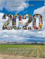 2020 Cover Spanish