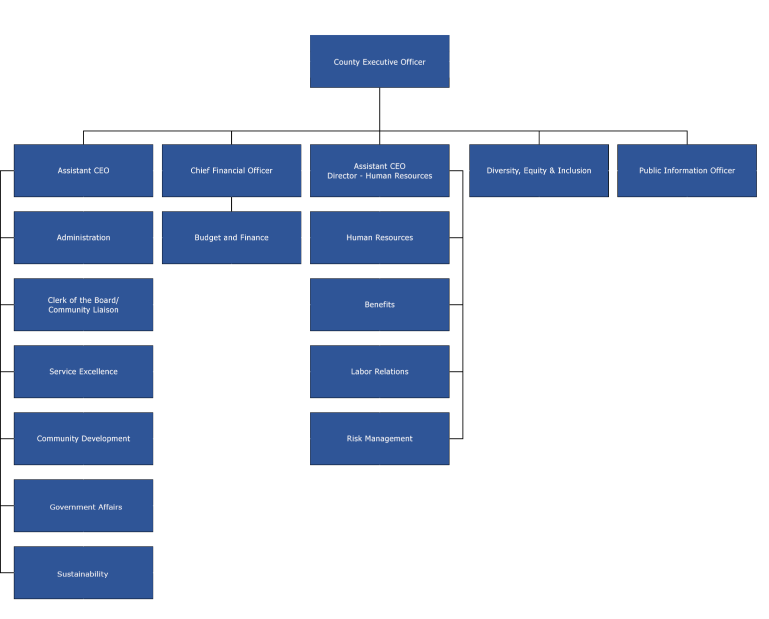 Oranizational Chart – County Executive Office