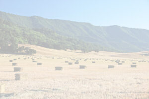 Background Field