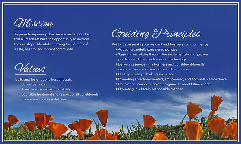 Mission Values Guiding Principles