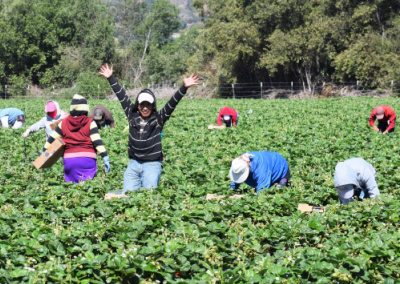 COVID Financial Assistance for Farmworkers