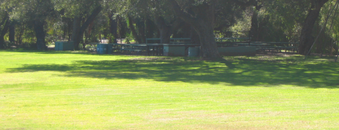 Kenny Grove Open Space And Group Area