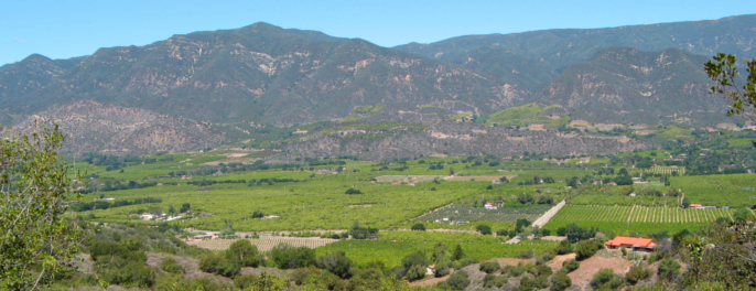 Ojai Valley From Dennison