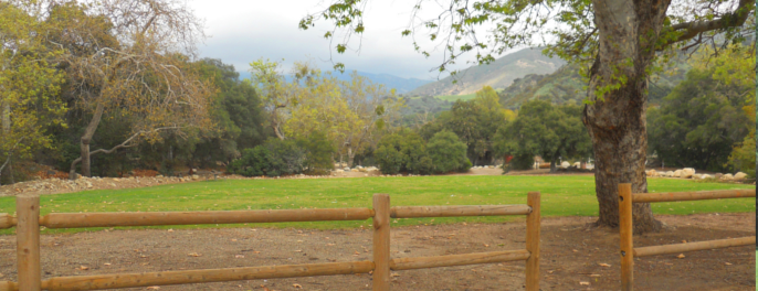 Steckel Park Open Field