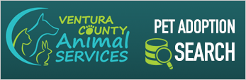 Ventura County Animal Services Pet Adoption Search